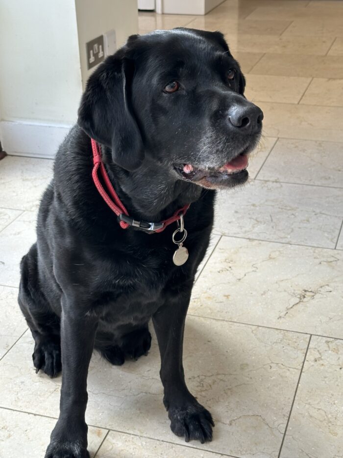 Braveheart Patient ‘Clyde’