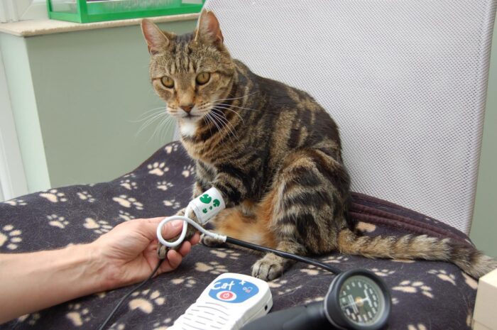 Hypertension - what is it?