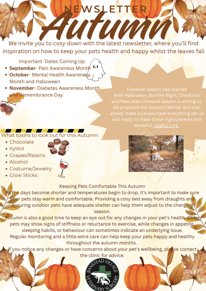 Autumn Newsletter